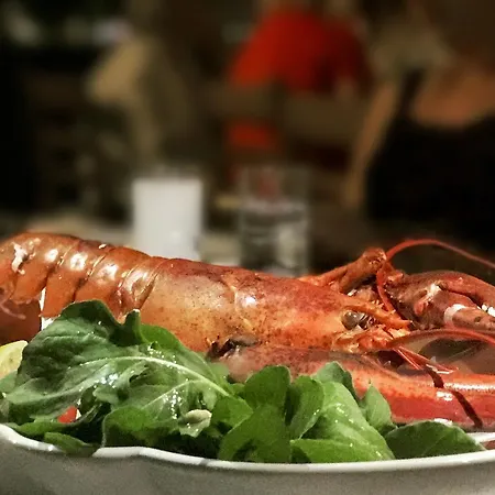 Giritimu Evleri 度假居 塞利米耶